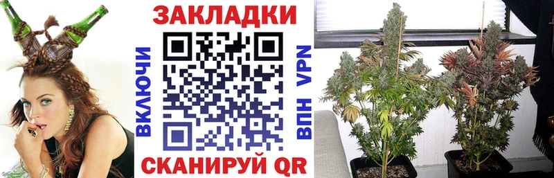 Виды наркотиков купить Монино A PVP  КОКАИН  Меф мяу мяу  Канабис 