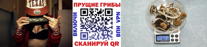 закладка  Монино  Псилоцибиновые грибы Magic Shrooms 